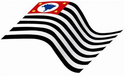 Estado aposta em biomassa para geração de energia