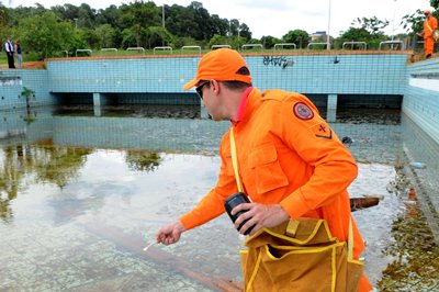 Brasileira desenvolve bioinseticida que mata larvas do mosquito da dengue