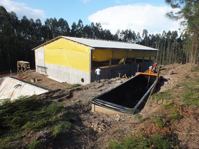 Nova tecnologia transforma dejetos em adubo, gerando oportunidade de renda ao suinocultor
