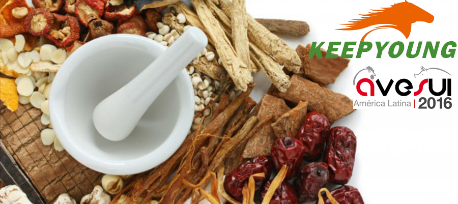 Nova tecnologia para alimentação animal combinada à medicina chinesa será apresentada em Florianópolis