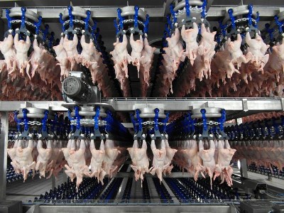 Manutenção de equipamentos na indústria avícola – por Antonino Mascarenhas e Vinicius Cuchiara