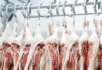 Produtos limpam e protegem estruturas de aço inox das indústrias