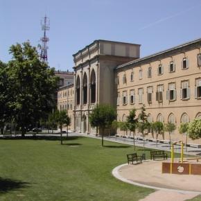 Universidade espanhola oferece bolsa de estudo para mestrado em Produção de Suínos