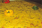 Paella de Pollo