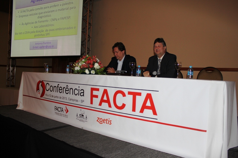 Conferência Facta 2013