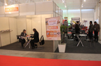 Florestal & Biomassa 2013