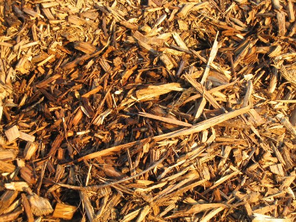 Desenvolvimento sustentável de projetos industriais sustentáveis de aproveitamento da biomassa