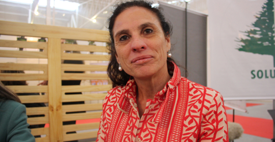 Florestal & Biomassa recebe Simpósio sobre biomassa compactada