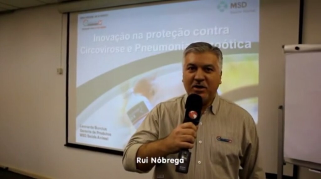 MSD e soluções para Circovirose em Suínos