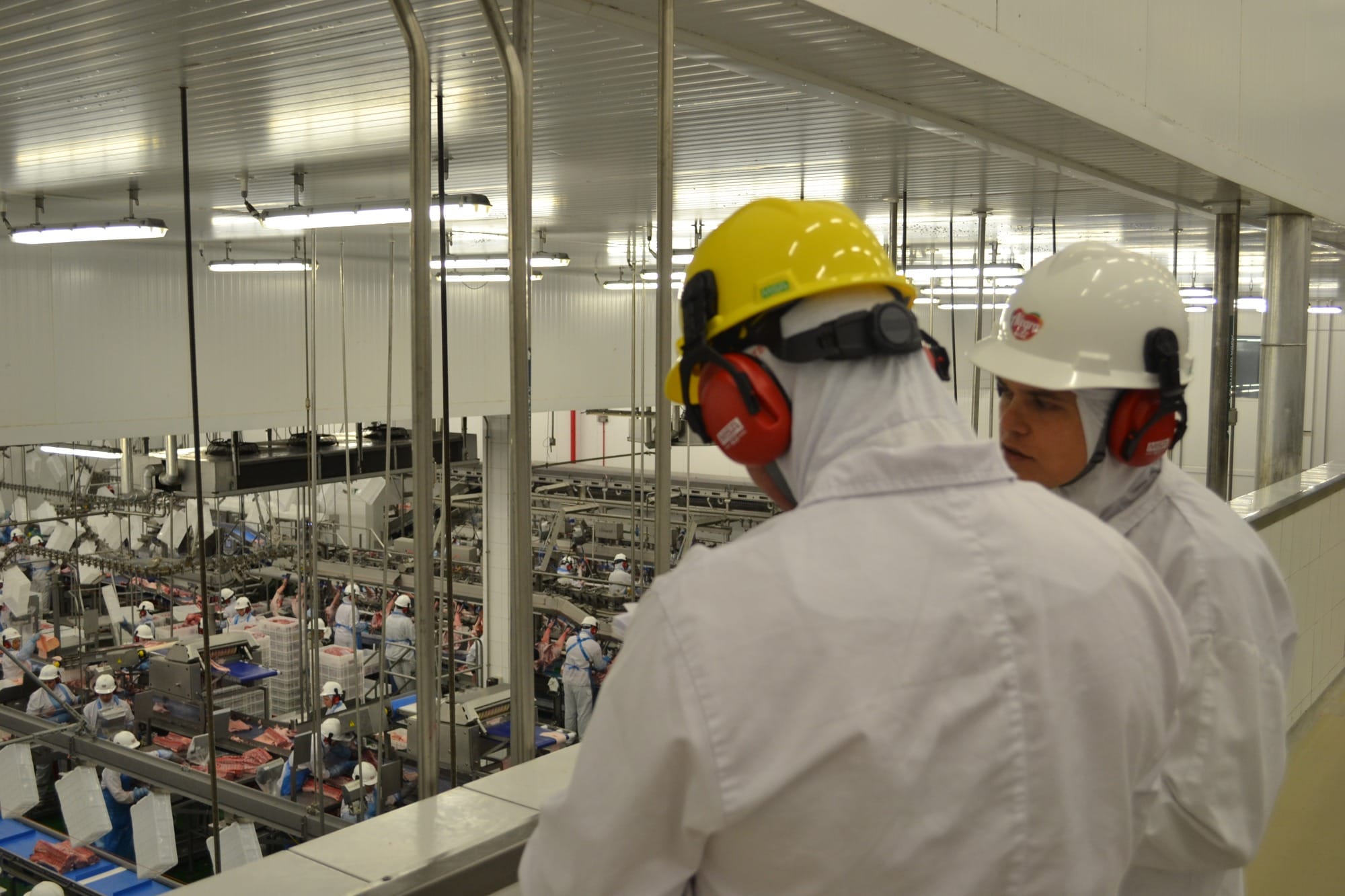 O bem-estar da Alegra Foods