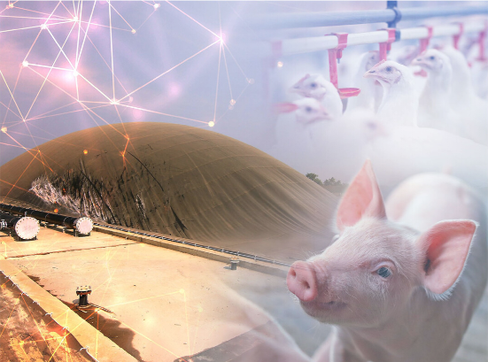 Biogás cresce como opção energética