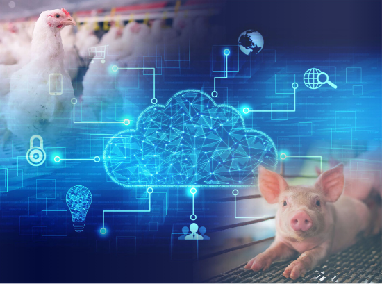 Inteligência Artificial traz nova dinâmica ao agro