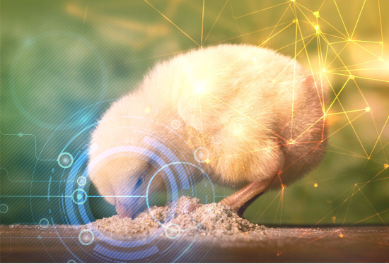 Tecnologia irá transformar a nutrição