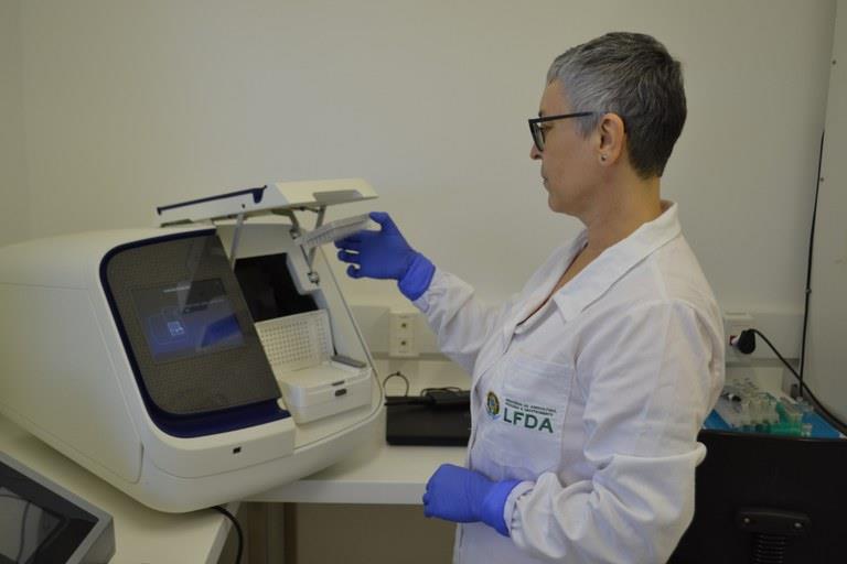 Laboratório do MAPA obtém sucesso em análise internacional da gripe aviária