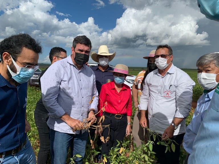 Após visitar lavouras afetadas pela seca no PR e MS, ministra diz que ação imediata é garantir plantio da safrinha