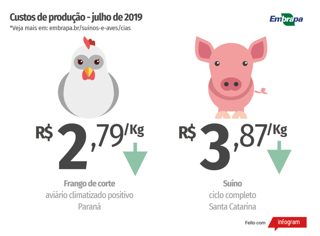 Custos de produção de suínos e de frangos de corte registram queda em julho
