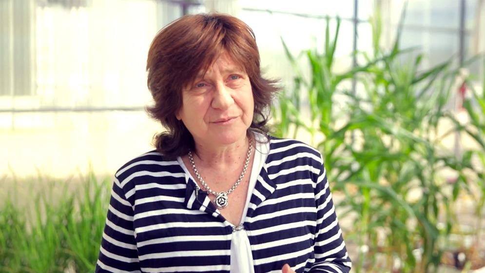 Recibe Raquel Chan título de Cátedra IICA por aportes de sistemas nacionales de ciencia y tecnología