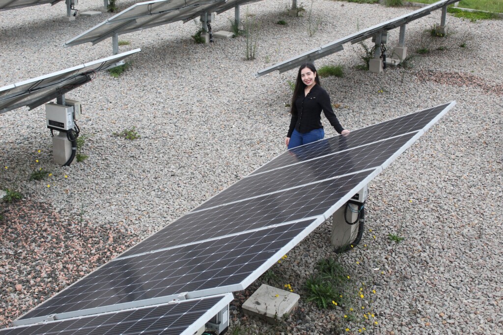 Edição especial de 75 anos da revista científica do Tecpar reúne artigos de paranaenses