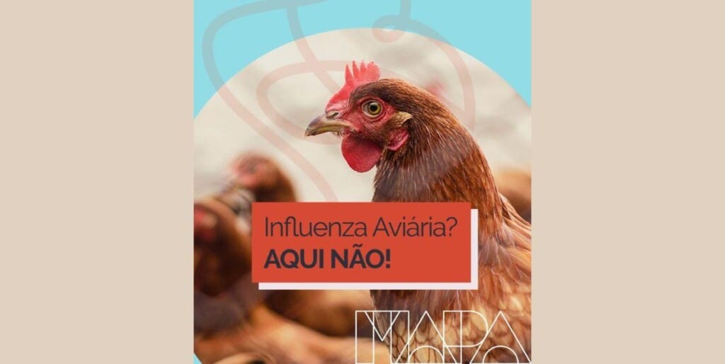 Mapa lança a campanha “Influenza Aviária? Aqui não!”.
