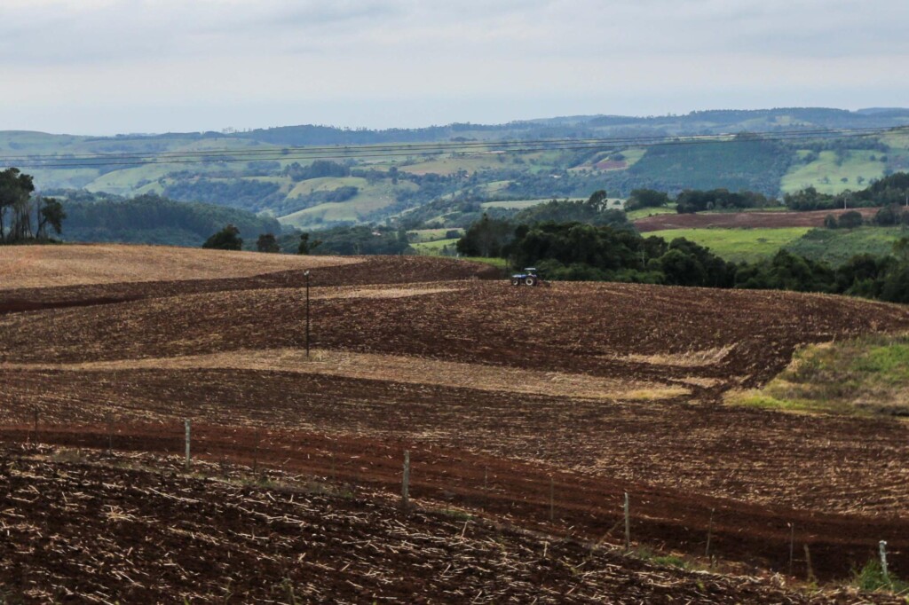 Vazio sanitário da soja começa em 10 de junho no Paraná