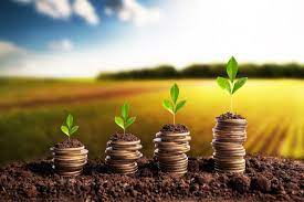 Desembolso do crédito rural atinge R$ 318,7 bilhões em 11 meses