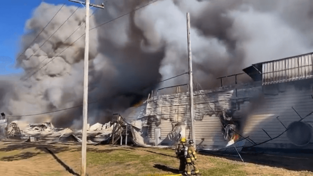 Incêndio atinge uma das maiores produtoras de ovos dos EUA