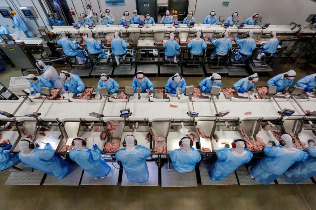 Com queda na taxa de desocupação, Paraná se aproxima de alcançar o pleno emprego