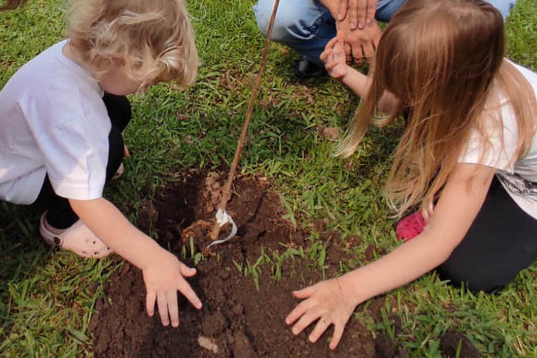 Paraná recebe convite da ONU para renovar parceria na neutralização de CO2