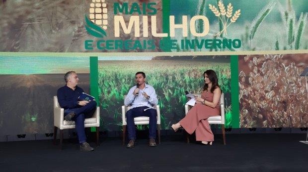 SC aposta na produção de cereais de inverno para minimizar o déficit de milho