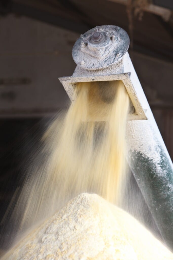 Peste suína e ração de trigo são ameaça para demanda por farelo de soja na China