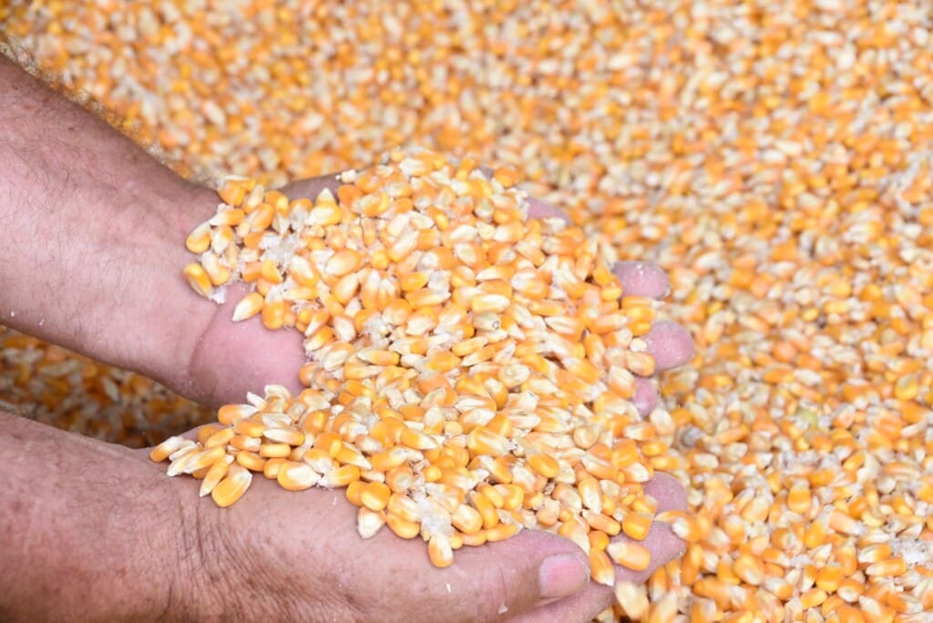 Transporte ferroviário de grãos dos EUA aumenta 3%