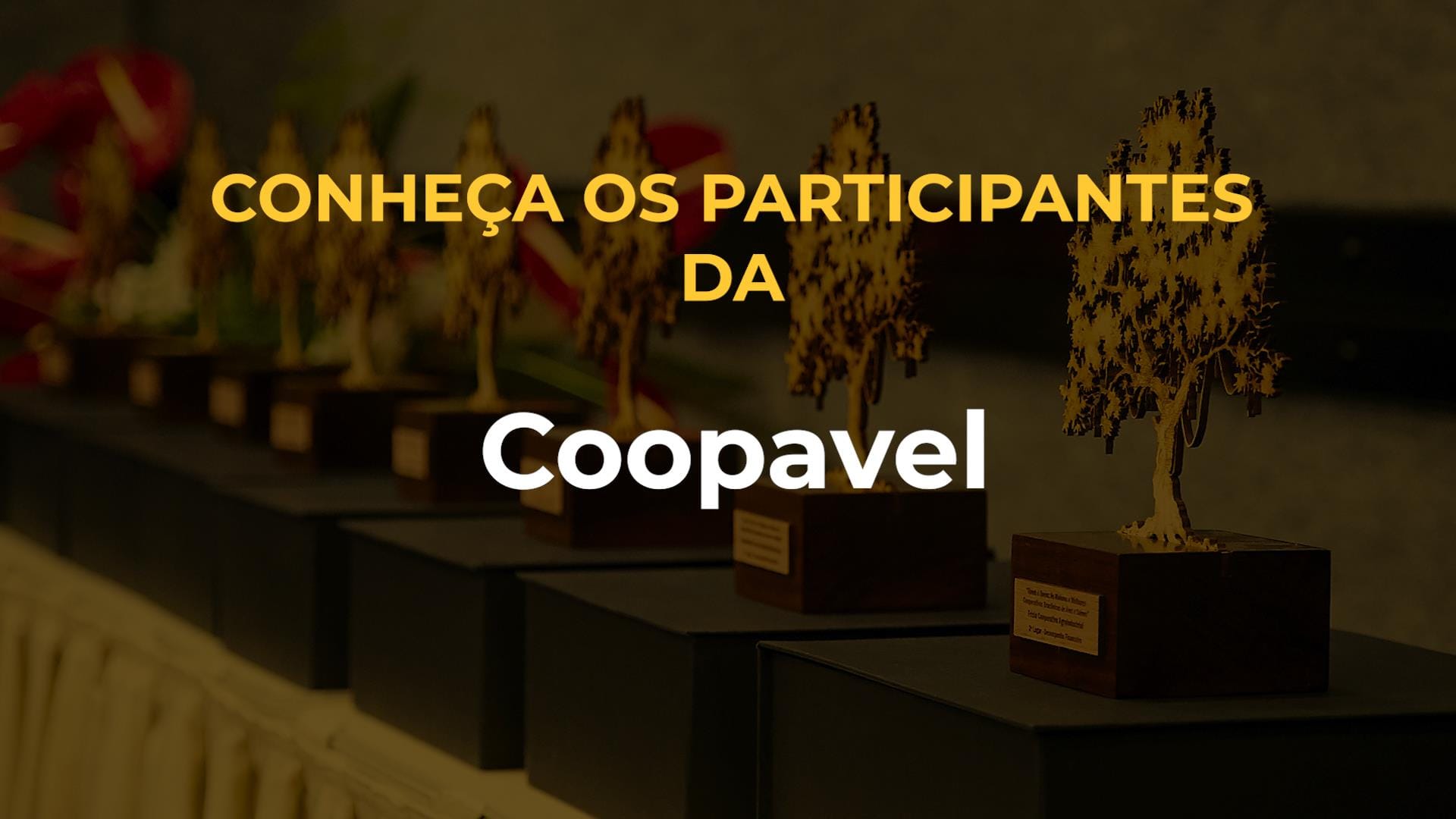 Coopavel se inscreve em dez categorias do Quem é Quem; assista ao vídeo