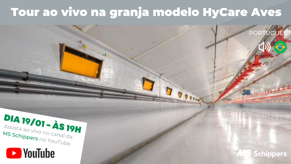 É amanhã: um tour ao vivo pela granja modelo HyCare de Aves!