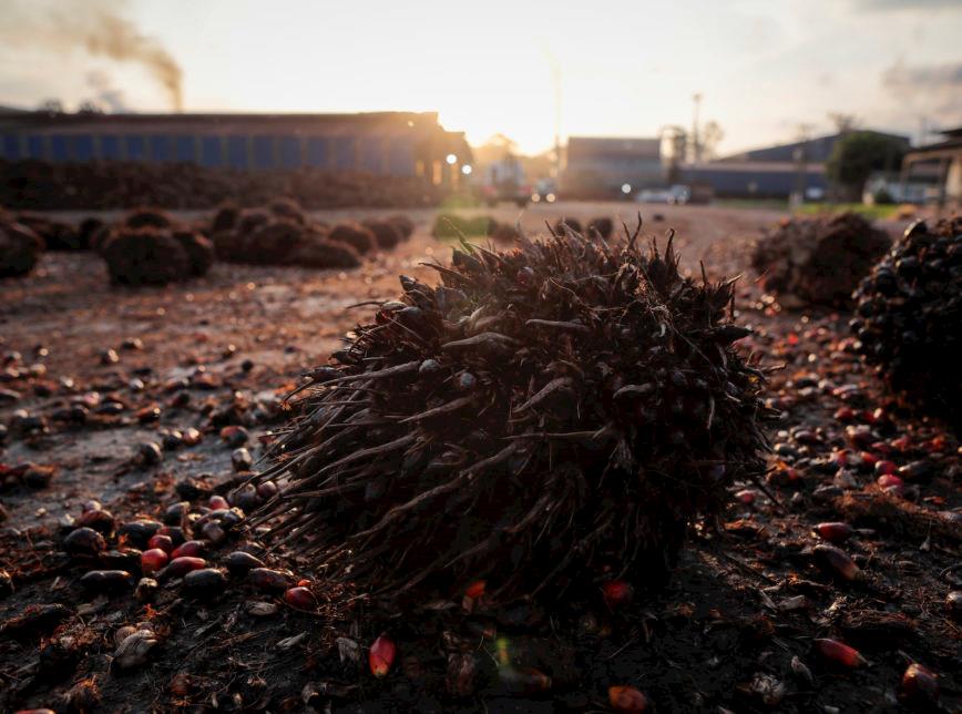 Projeto de biocombustível entre Galp e Petrobras acumulou prejuízos milionários