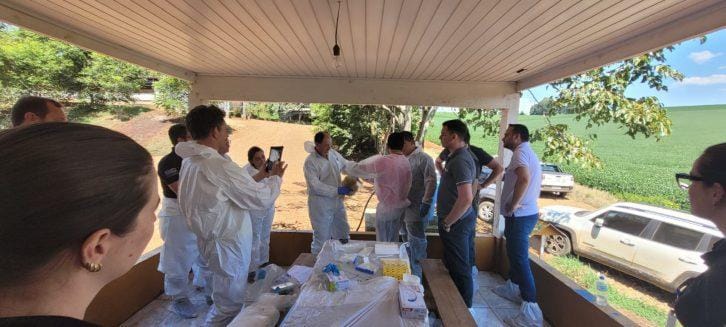 Treinamento capacita veterinários a detectar casos de síndrome respiratória em aves