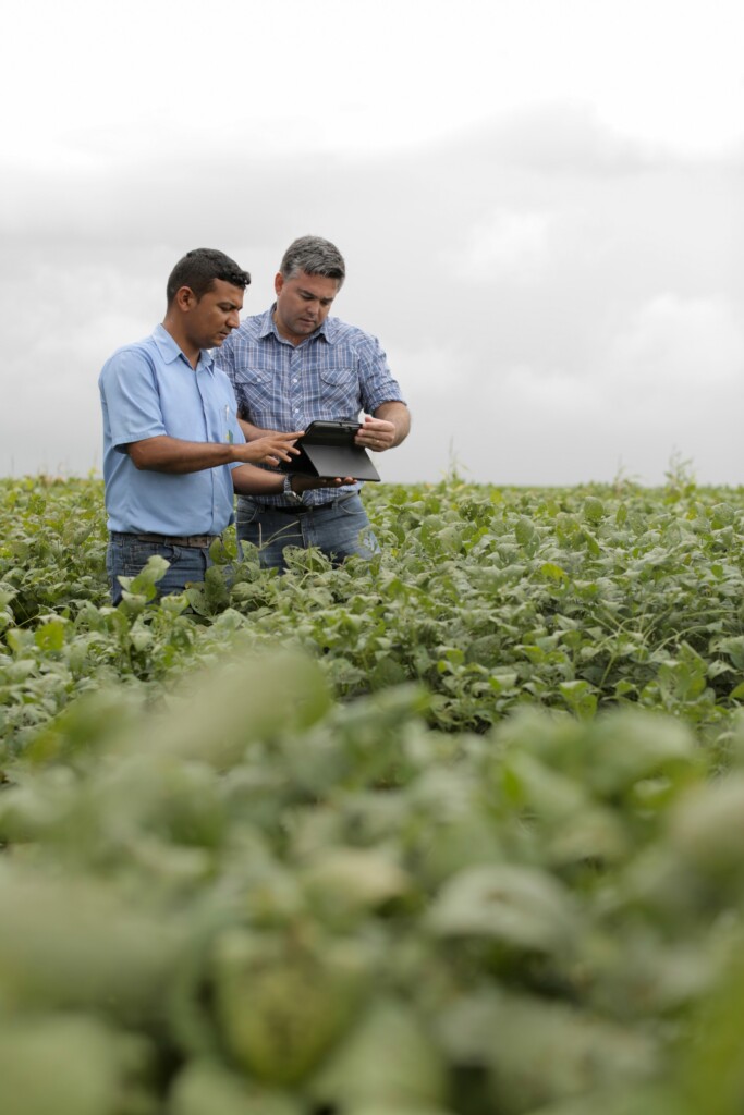 Empregadores rurais podem renegociar dívidas