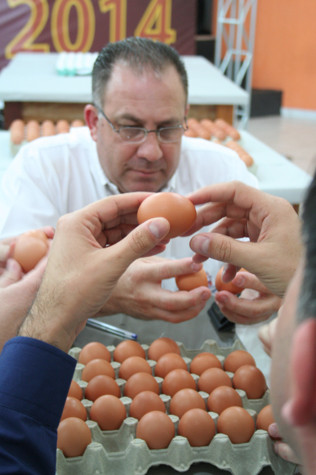 Concurso de Qualidade de Ovos de Bastos começa às 13 horas