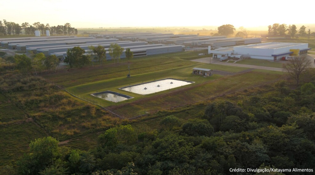 Grupo Katayama investe em ações conectadas aos princípios ESG