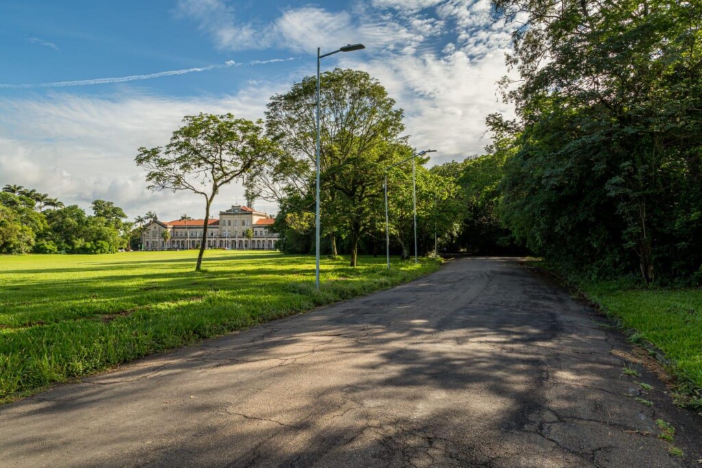 Arboreto Luiz de Queiroz será lançado com plantio no Dia da Árvore