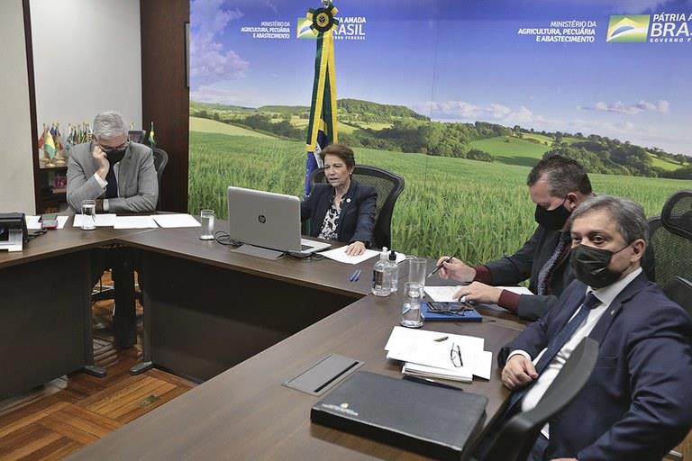 Brasil destinará recursos para combate à Peste Suína Africana na Republica Dominicana e Haiti