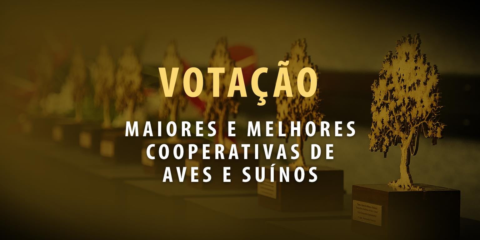 Votação online em três categorias do Prêmio Quem é Quem chega a sua reta final