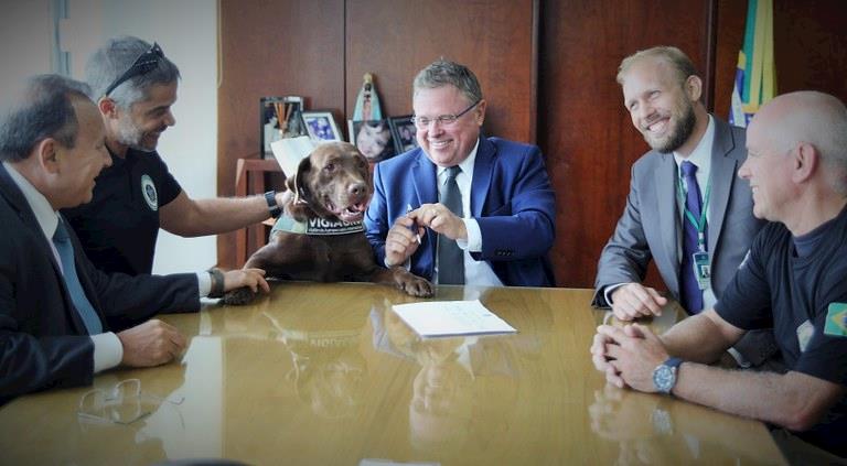 Portaria regulamenta fiscalização com cães e cria centro de treinamento