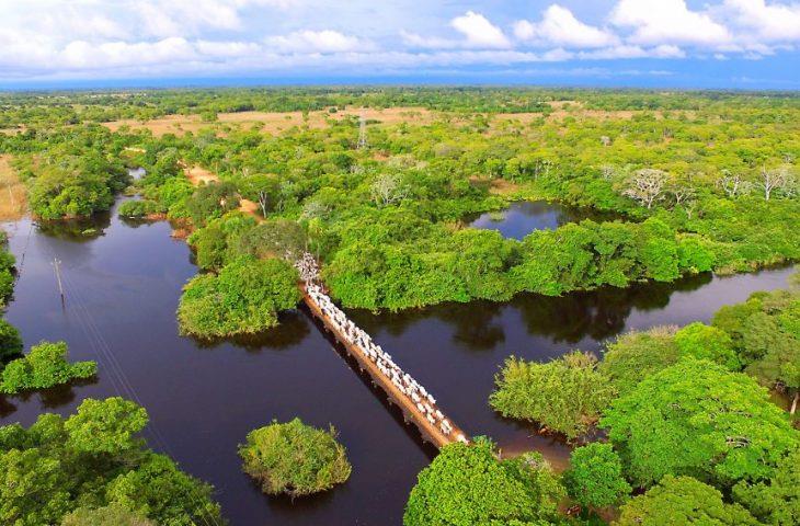 Mato Grosso do Sul sedia Agenda Verde do Agro