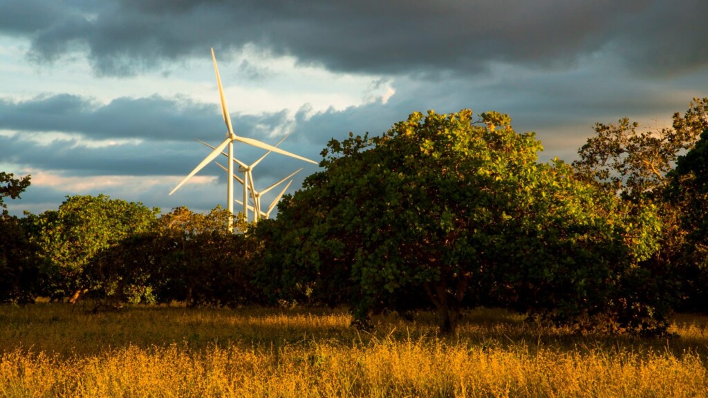 Voltalia inicia construção do seu maior projeto solar no mundo