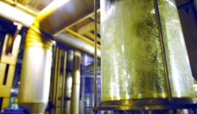 Energias renováveis são oportunidade de integração energética da América Latina