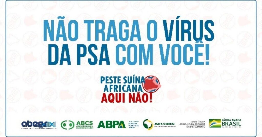 Campanha para evitar Peste Suína Africana no país ganha reforço nas redes sociais
