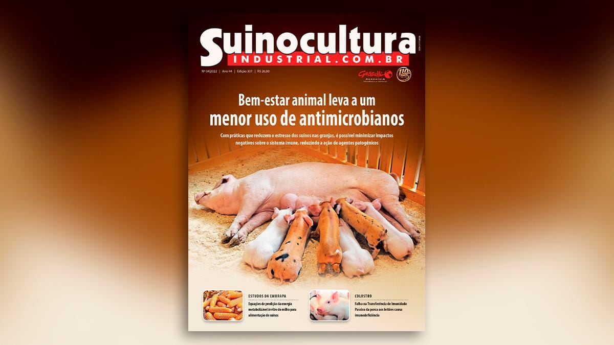 Suinocultura Industrial debate a correlação entre bem-estar animal e menor uso de antimicrobianos Suinocultura Industrial debate a correlação entre bem-estar animal e menor uso de antimicrobianos