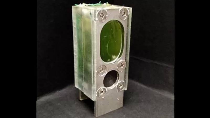 Cientistas testam energia de algas e mantêm computador ligado por um ano