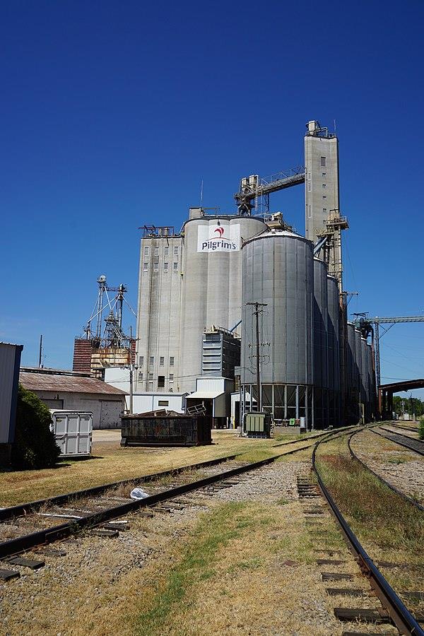 Lucro da Pilgrim’s Pride cresceu 81,6% no terceiro trimestre