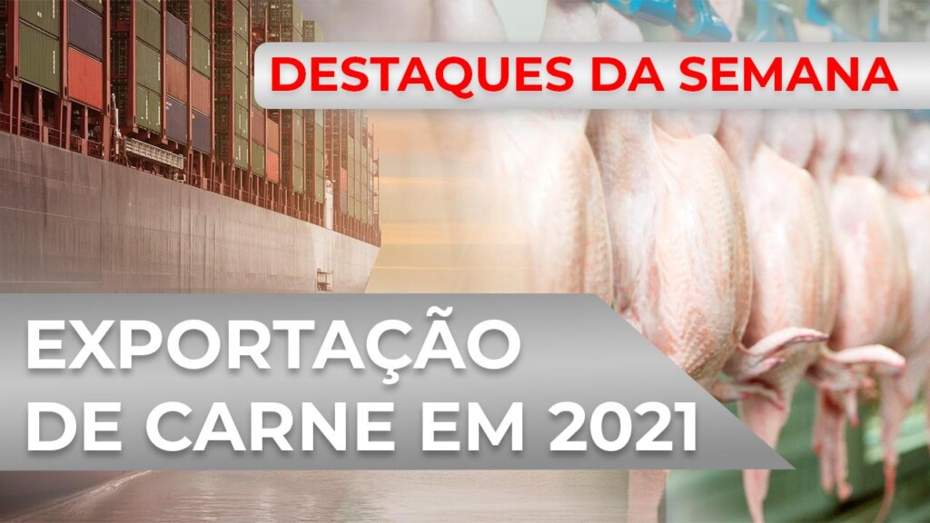 DESTAQUES – Brasil deve continuar exportando mais carne em 2021, aponta Rabobank